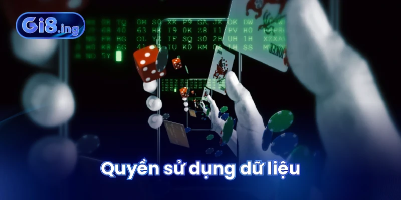 Quyền sử dụng dữ liệu